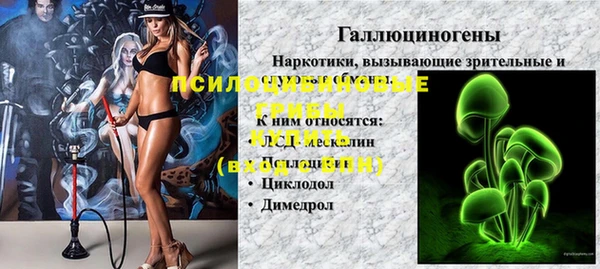 прущие крисы Балахна