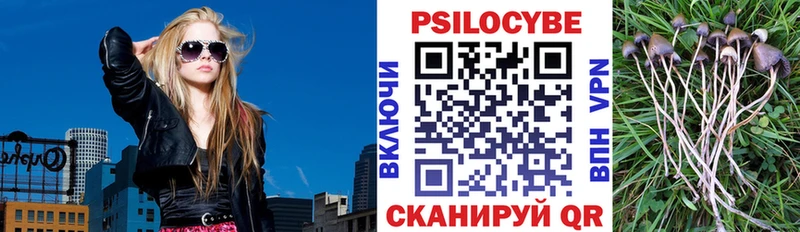 Галлюциногенные грибы Psilocybine cubensis  Сосногорск 