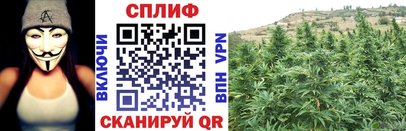 наркотики  Сосногорск  Марихуана гибрид 